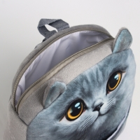 Рюкзак детский для девочки &laquo;Котик&raquo; с цыпленком