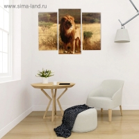 Модульная картина "Король саванны" (2-25х50, 30х60 см) 60х80 см