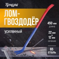 Лом-гвоздодер ТУНДРА, усиленный, 65 сталь, 450 х 22 х 12 мм Лом-гвоздодер ТУНДРА, усиленный, 65 сталь, 450 х 22 х 12 мм