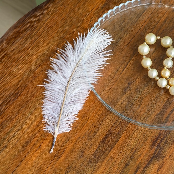 Перо для декора 1 шт., размер 20-24 см, цвет белый Перо для декора 1 шт., размер 20-24 см, цвет белый