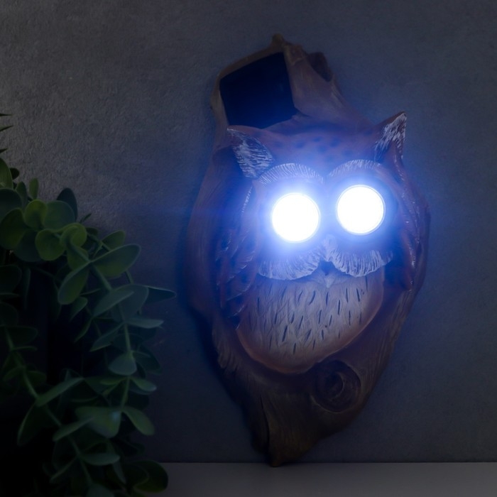 Сувенир настенный полистоун свет "Филин в дупле с биноклем" от солн.батареи 23х8,5х13,5 см