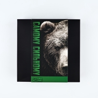 Подарочный набор MODE FORREST &laquo;Медведь&raquo;: фляжка 240 мл, стопки 30 мл х 2 шт, воронка