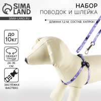 Комплект &laquo;Мур! Мур!&raquo;, шлейка 24-34х1 см, поводок 120 см