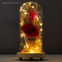 Ночник "Колба с розой в букете" LED 3ААА МИКС 23х11х11 см RISALUX Ночник "Колба с розой в букете" LED 3ААА МИКС 23х11х11 см RISALUX