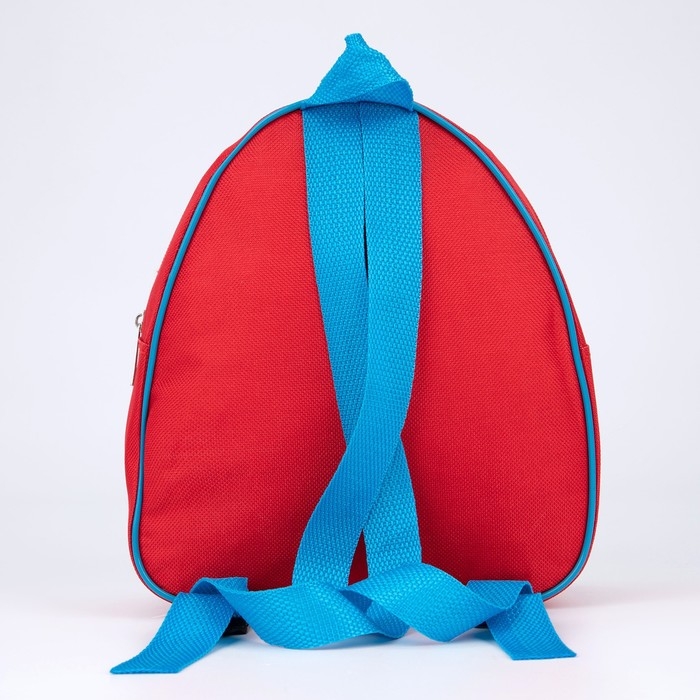 Рюкзак детский для мальчика &laquo;Тигрята&raquo;, 23х20,5 см, отдел на молнии