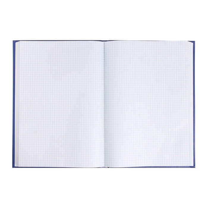 Книга учета, 192 листа, обложка бумвинил, блок ГАЗЕТНЫЙ, клетка, цвет синий Книга учета, 192 листа, обложка бумвинил, блок ГАЗЕТНЫЙ, клетка, цвет синий