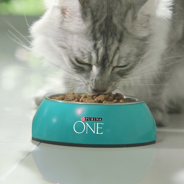 Сухой корм Purina One Сухой корм Purina One "Природа здоровья" для кошек, курица, 680 г
