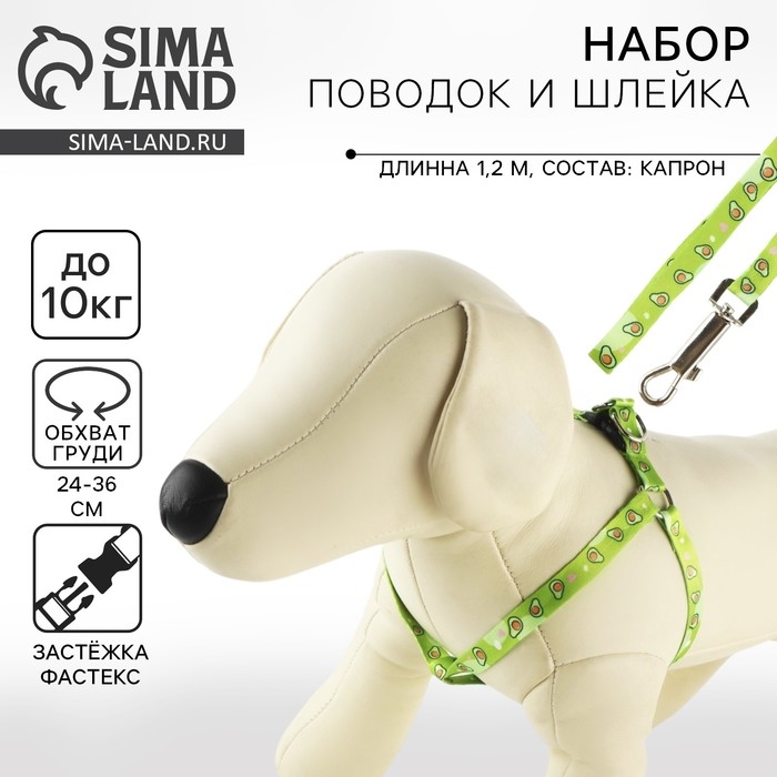 Комплект &laquo;Авокадо&raquo;, шлейка 24-36 см, поводок 120х1 см