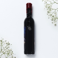 Магнит-открывашка &laquo;Екатеринбург&raquo;, 2,5 х 11,8 см