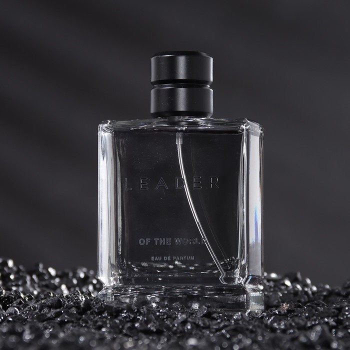 Парфюмерная вода мужская LEADER OF THE WORLD, 100 мл