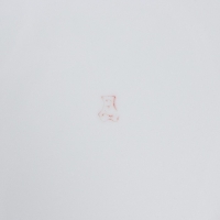 Тарелка фарфоровая &laquo;Тигр&raquo;, d=24 см, белая