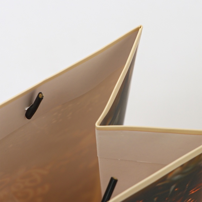 Пакет ламинированный &laquo;Волшебного и сказочного нового года&raquo;, MS 18 &times; 23 &times; 10 см