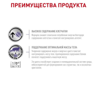 Сухой корм RC VCN Neutered Saety Balance для кошек, 8 кг Сухой корм RC VCN Neutered Saety Balance для кошек, 8 кг