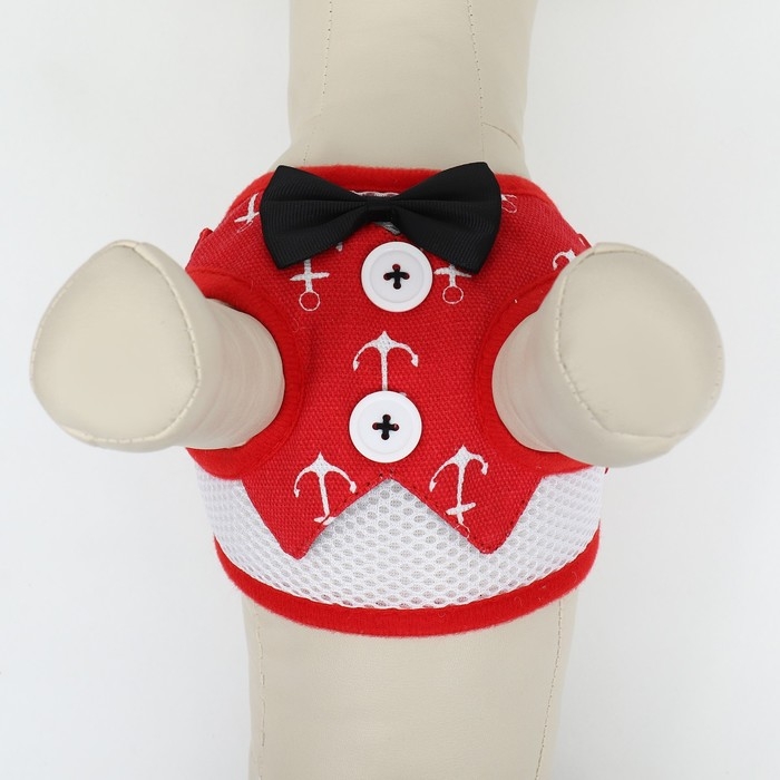 Комплект с мягкой шлейкой и бантиком "Якорь", размер S, поводок 120 x 1,5 см, ОГ 23-42 см, красный