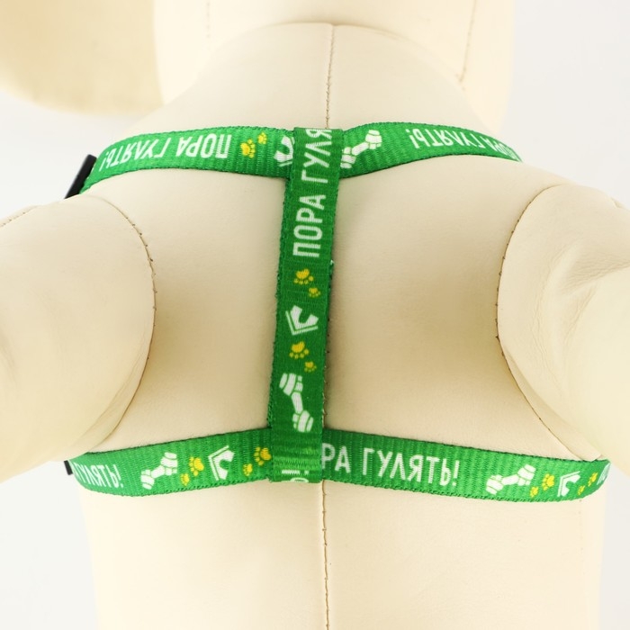 Комплект &laquo;Пора гулять&raquo;, шлейка 24-34 см, поводок 120х1 см