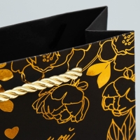 Пакет подарочный, упаковка, &laquo;Лучшей&raquo;, чёрный крафт, 15 х 12 х 5,5 см