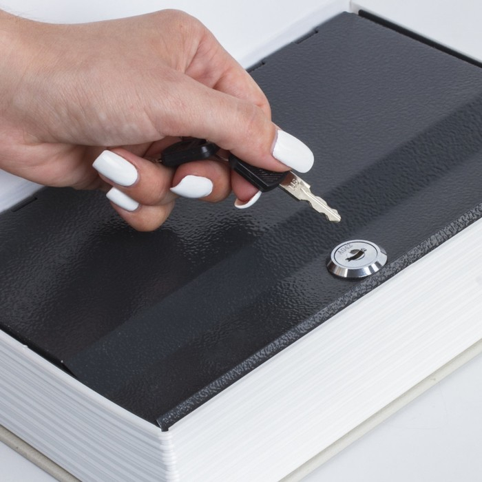 Сейф-книга "ФИНАНСИСТ", 5,5х17х24 см, ключевой замок