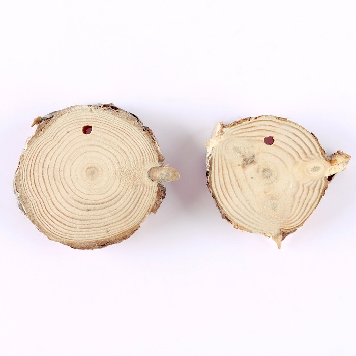 Новогодний набор для творчества. Ёлочные деревянные подвески под раскраску &laquo;Новый год! Мишка и снегирь&raquo;