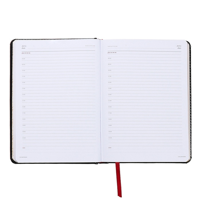 Ежедневник недатированный А5+, 136 листов Sidney Nebraska, твёрдая обложка, искусственная кожа, серебряный срез, чёрный