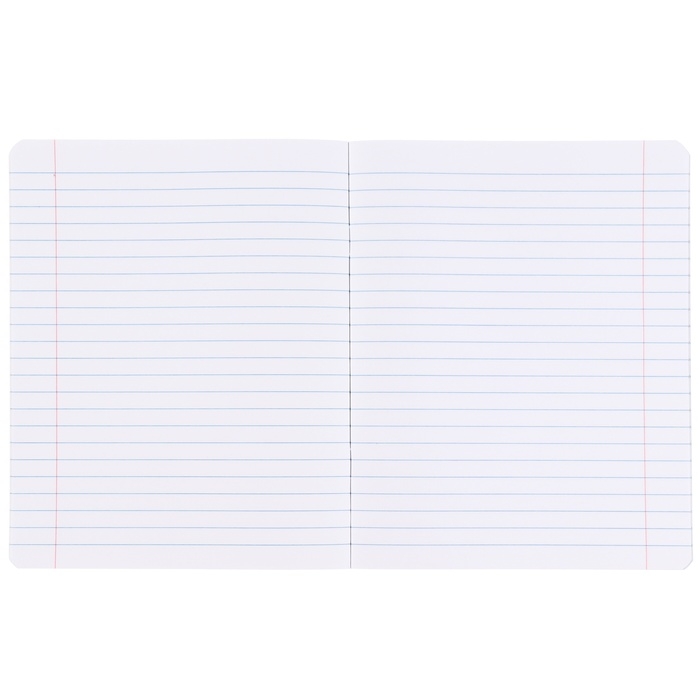 Набор тетрадей 20 штук, 12 листов, 1 сентября, Минни Маус Единорог