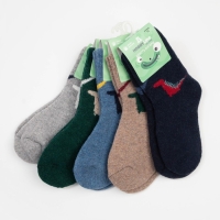 Носки детские шерстяные &laquo;Динозаврики&raquo;, цвет МИКС, размер 16 (3-5 лет)