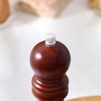 Мельница для специй Доляна, 10,5×4,5 см, металлический механизм, цвет коричневый Мельница для специй Доляна, 10,5×4,5 см, металлический механизм, цвет коричневый