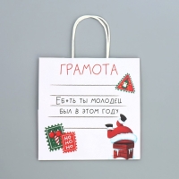 Пакет подарочный новогодний крафтовый «Молодец», 22 х 22 х 11 см, Новый год Пакет подарочный новогодний крафтовый «Молодец», 22 х 22 х 11 см, Новый год