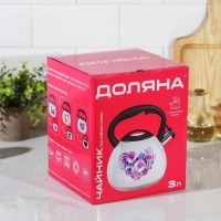 Чайник со свистком из нержавеющей стали Доляна &laquo;Сердце&raquo;, 3 л, с индикатором нагрева