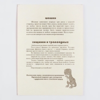 Настольные игры 2 в 1 "Диношашки": шашки, хищники и травоядные, d-2.2 см, 31.2 х 31.2 см Настольные игры 2 в 1 "Диношашки": шашки, хищники и травоядные, d-2.2 см, 31.2 х 31.2 см