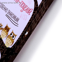 Картина на холсте "Правила дома" совята 40х50 см