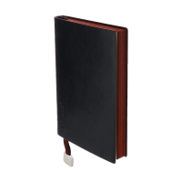 Органайзер, А6, 116 листов, клетка, обложка кожзам, коричневый срез, черный