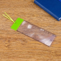 Лупа-закладка 3х, линейка 15см, микс Лупа-закладка 3х, линейка 15см, микс