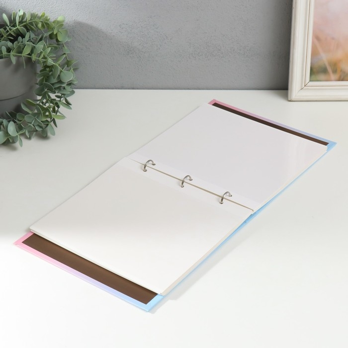 Фотоальбом на кольцах на 200 фото 6х9 см "Градиент" 3х22,7х23,5 см