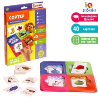 Сортер &laquo;Изучаем времена года&raquo; с карточками Домана