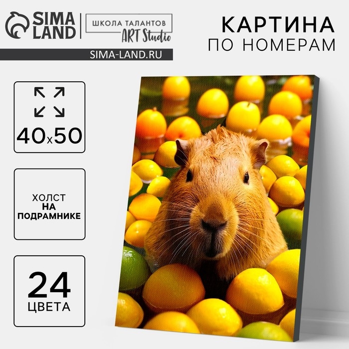 Картина по номерам на холсте с подрамником &laquo;Капибара в пруду&raquo;, 40 х 50 см