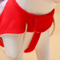 Новый год. Костюм "Новогодний мороз", размер M (ДС 34, ОГ 43, ОШ 20 см, вес 5-10 кг) Новый год. Костюм "Новогодний мороз", размер M (ДС 34, ОГ 43, ОШ 20 см, вес 5-10 кг)