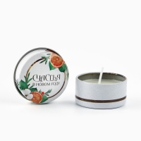 Свеча новогодняя в железной банке &laquo;Новый год: Счастья&laquo;Новый год: аромат апельсин, 4.8 см