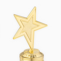 Кубок наградная фигура: звезда литая «Лучший из лучших» золото, пластик, 16 х 8,5 х 6 см. Кубок наградная фигура: звезда литая «Лучший из лучших» золото, пластик, 16 х 8,5 х 6 см.
