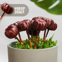 Набор штекеров "Тыковка" 30шт, 4х2см Набор штекеров "Тыковка" 30шт, 4х2см