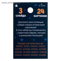 Слайды для проектора «Зверята», набор, 3 слайда, 24 картинки Слайды для проектора «Зверята», набор, 3 слайда, 24 картинки