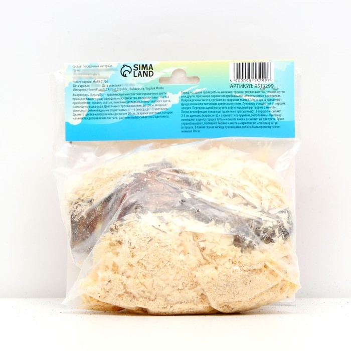 Амариллис Мелкоцветущий Амариллис Мелкоцветущий "Sleeping Beauty new", р-р 24/26, 1 шт,