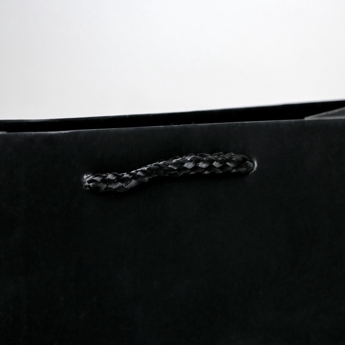 Пакет подарочный ламинированный, упаковка, &laquo;Чёрный&raquo;, MS 18 х 23 х 8 см