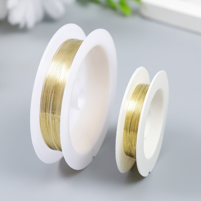 Проволока для творчества Проволока для творчества "Astra" 0,2 мм, 10 м, золото