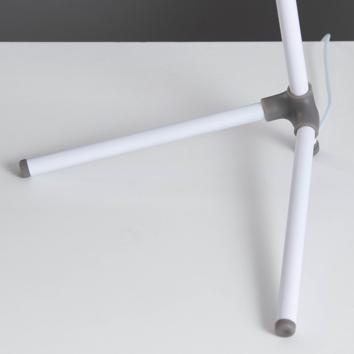 Настольная лампа Настольная лампа "Эрудит" LED 5Вт белый 20х23х61 см RISALUX