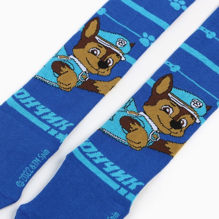 Колготки PAW PATROL &laquo;Гончик&raquo;, цвет синий, 98-104 см