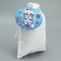 Мешок подарочный «Дружочек», 20 х 30 см +/- 1.5 см, Новый год Мешок подарочный «Дружочек», 20 х 30 см +/- 1.5 см, Новый год