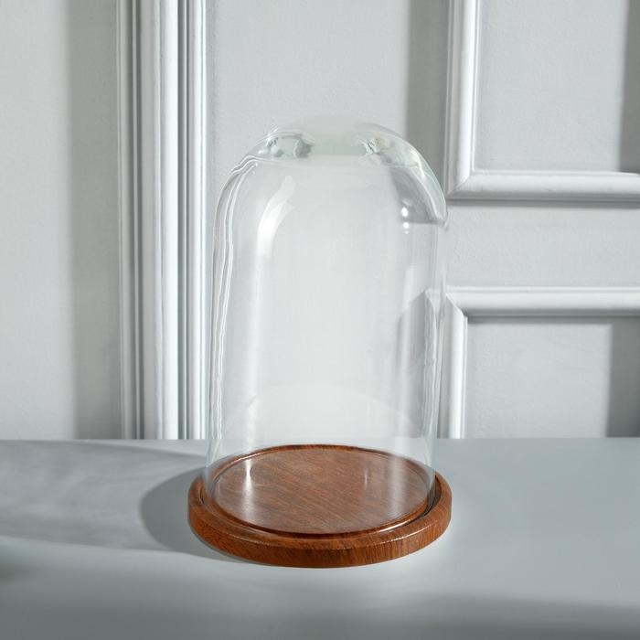 Стеклянный купол-клош на деревянной подставке Стеклянный купол-клош на деревянной подставке "Венсан - 1", 25х15 см, коричневый