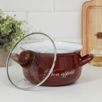 Кастрюля эмалированная &laquo;Бордо&raquo;, 3,1 л, индукция, цвет бордовый