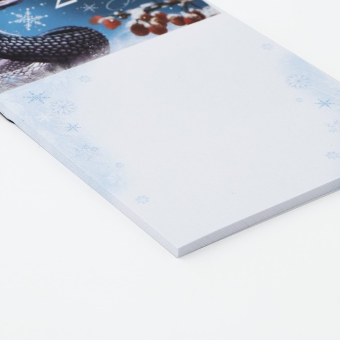 Магнит новогодний с блоком для записей &laquo;Новый год: Успешного 2025 года&laquo;Новый год: , 8 х 14 см