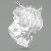 Плед &laquo;Танцующий лес&raquo;, белый с серебром